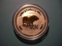 Lunar I, Schwein 2007 Silber gilded, vergoldet, 1 Oz  Lunar I, Schwein 2007 Silber gilded, vergoldet, 1 Oz